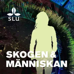 Skogen & Människan