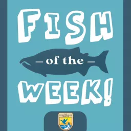 Fish of the Week!