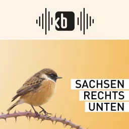 Sachsen rechts unten