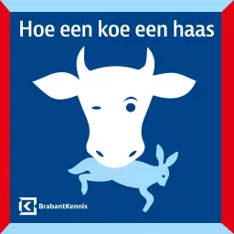 Hoe een koe een haas - BrabantKennis podcast artwork