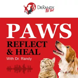 Paws, Reflect & Heal with Dr. Randy Podcast artwork