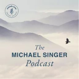Michael A. Singer Podcast artwork