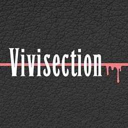 MMA Vivisection & 6th Round: The MMA Vivisection Shows: 'Main Card Preview' & 'Prelims Card Preview'