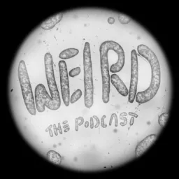 Weird: The Podcast artwork