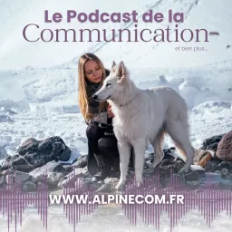 Le podcast de la communication ✨ artwork