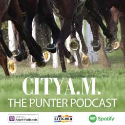 The Punter Podcast artwork