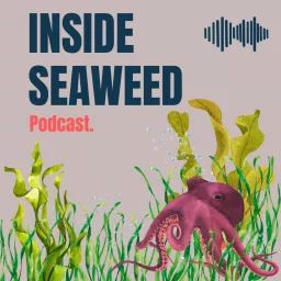 Inside Seaweed