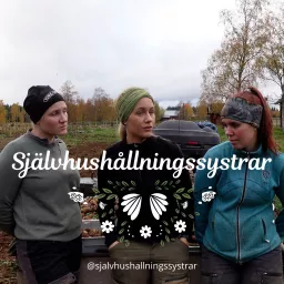 Självhushållningssystrar