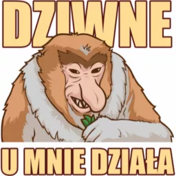 U Mnie Działa Podcast artwork