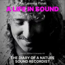 A LIFE IN SOUND Podcast artwork