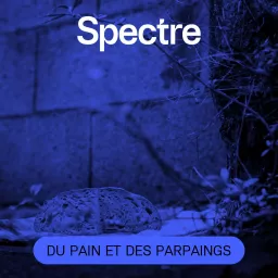 Du pain et des parpaings