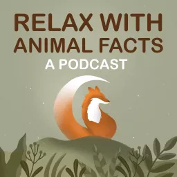 Relax With Animal Facts Podcast artwork