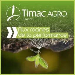 Aux racines de la performance