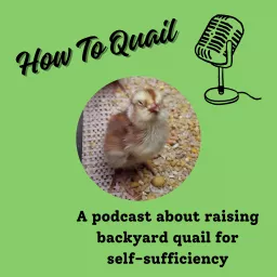 How To Quail: Your Guide to Raising Backyard Quail for Self-Sufficiency Podcast artwork