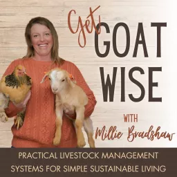 Get Goat Wise | Homestead Livestock, Raising Goats, Chickens, Off-grid living Podcast artwork