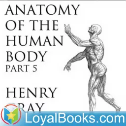 Anatomy of the Human Body, Part 5 by Henry Gray