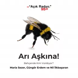 Arı Aşkına!