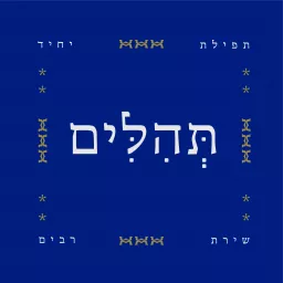 תהלים - תפילת יחיד, שירת רבים Podcast artwork