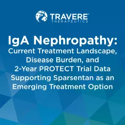 IgA Nephropathy: Current Treatment Landscape, Disease Burden, and 2-Year PROTECT Trial Data Supporting Sparsentan as an Emerging Treatment Option