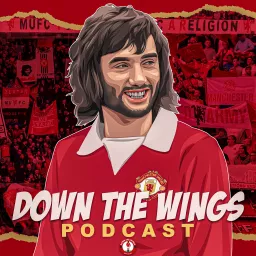 DOWN THE WINGS PODCAST artwork