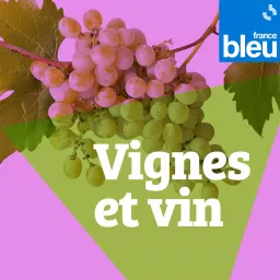 Vignes et vin