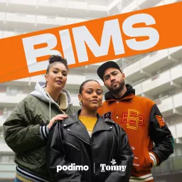 BIMS Podcast artwork