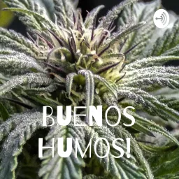 ¡Buenos Humos! Podcast artwork