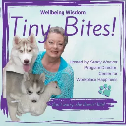 Wellbeing Wisdom Tiny Bites Podcast artwork