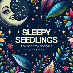 Sleepy Seedlings: The Bedtime Podcast with Trees artwork