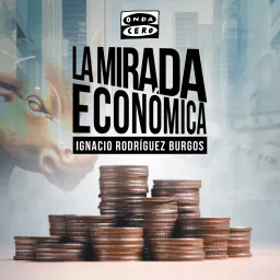 La mirada económica