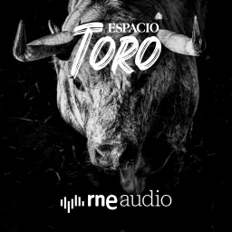 Espacio toro