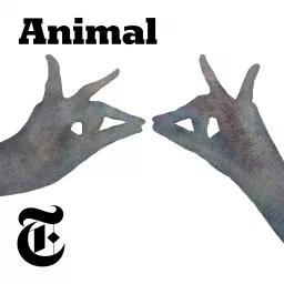 Animal Podcast artwork