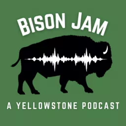 Bison Jam