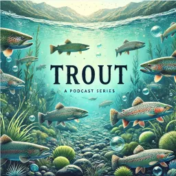 Trout