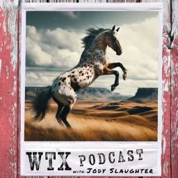 WTX - A History of West Texas Podcast artwork