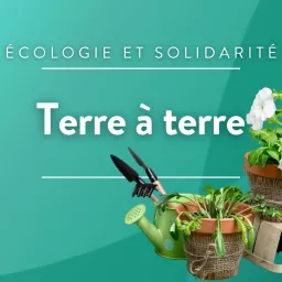 Terre à Terre : Rendez vous avec la transition écologique