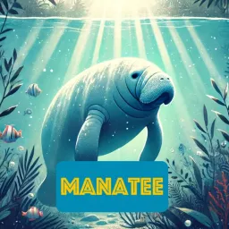 Manatee