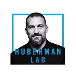 Huberman Lab Podcast artwork