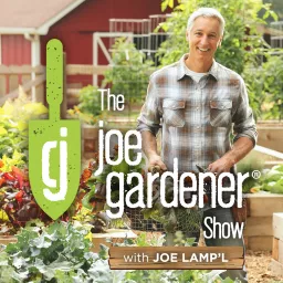 Prepare Archives - joe gardener® | Organic Gardening Like a Pro