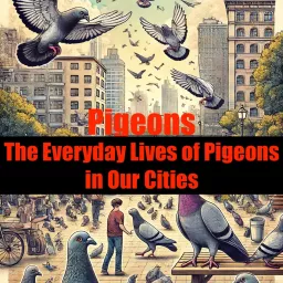 Pigeons: