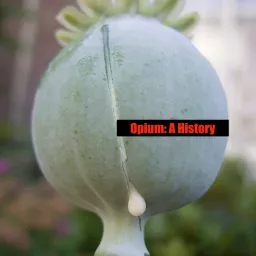 Opium: A History