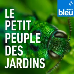 Le petit peuple des jardins