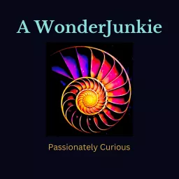 A WondeJunkie Podcast artwork