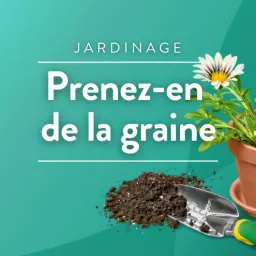 Prenez-en de la graine : des conseils jardinage écolos