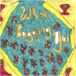 What’s Bugging you Podcast artwork