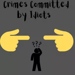 Crimes committed by idiots