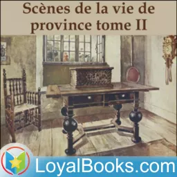 Scènes de la vie de province tome II by Honoré de Balzac