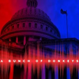 A Bunch of Donkeys Podcast artwork