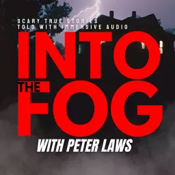 Into The Fog with Peter Laws Podcast artwork