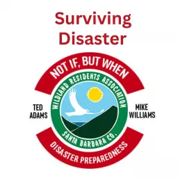 Surviving Disaster